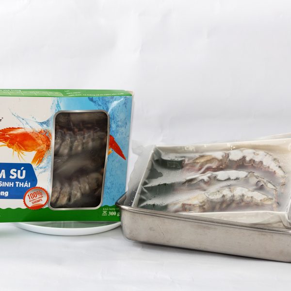 Tôm sú rừng sinh thái ngủ đông