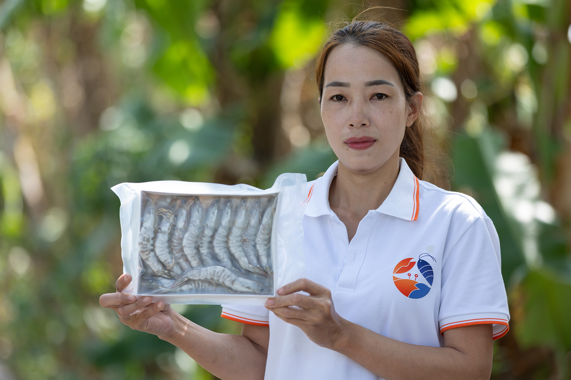 Tôm sú rừng sinh thái ngủ đông - Ảnh 9